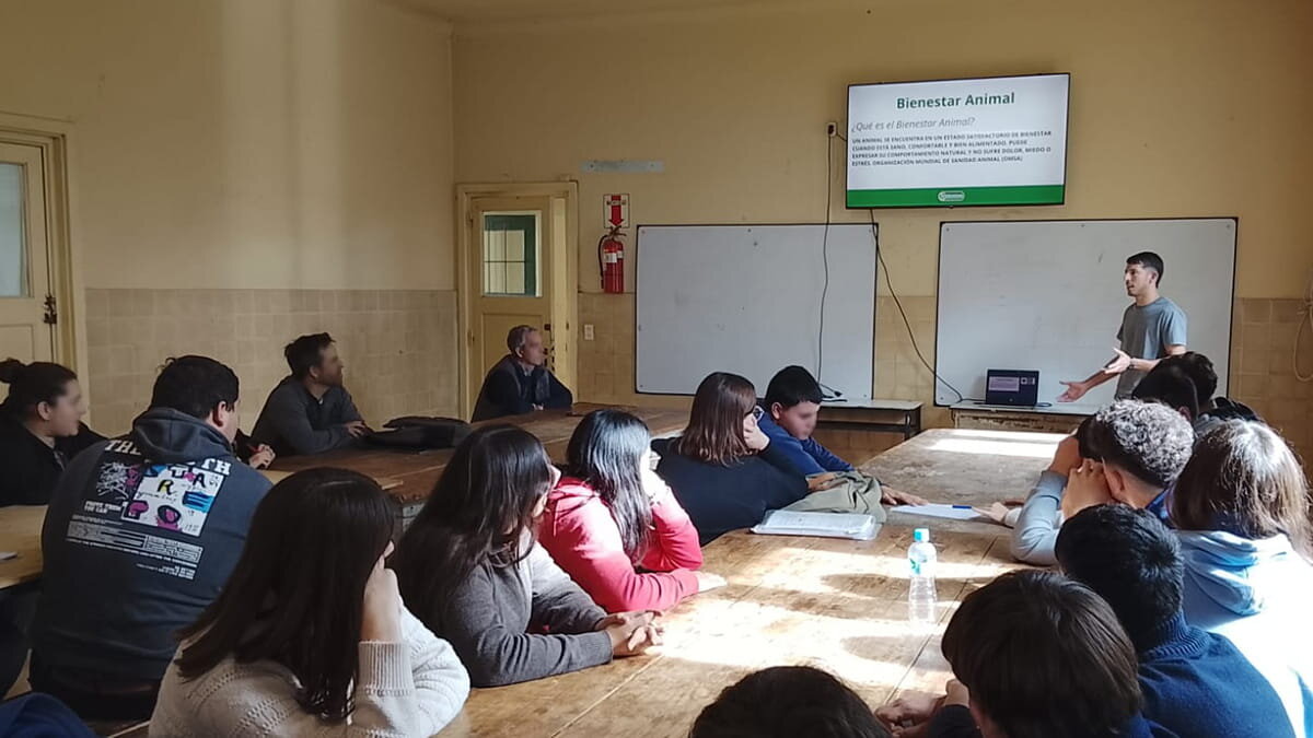 Mastellone Hnos. lanza un programa sobre bienestar animal y huella de carbono para estudiantes del agro.